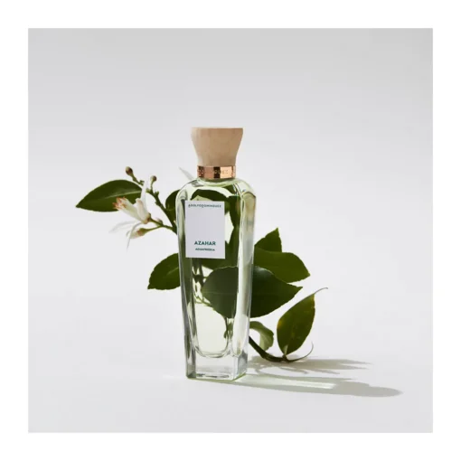 AGUA FRESCA DE AZAHAR de Adolfo Domínguez 120 ml es un “Eau de Toilette” para mujer que se incluye en la familia Floral, lanzada en el año 2016 por la firma de moda española. de mujer Ref. 7085