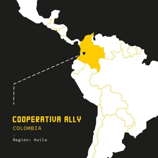 CAFE COOPERATIVA ALLY 250 gr Colombia Ref 3043 - Imagen 4