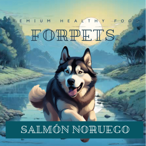 Salmón noruego 15 kilos Ref 2033 - Imagen 2