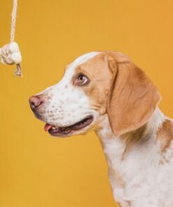 Alimento Para Perro